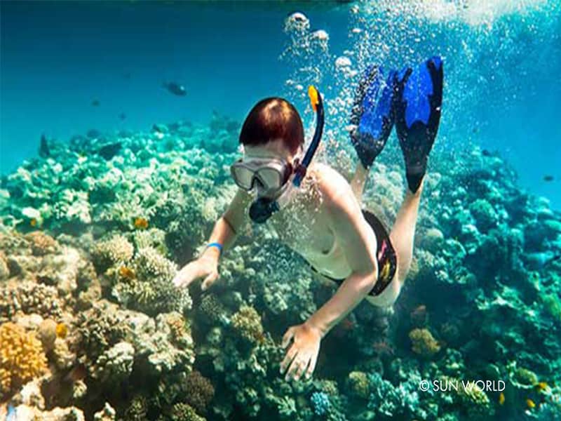 Đắm mình trong thế giới đại dương bao la và khám phá cuộc sống hoang dã nhộn nhịp diệu kỳ dưới biển ở Hòn Thơm, Phú Quốc (Nguồn: SW)