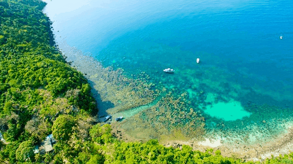 Fairy land in the earth of An Thoi island population (collectibles)