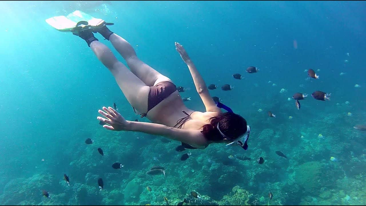 Ngắm san hô bằng ống thở