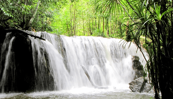 Tranh spring is as beautiful as a water painting in Phu Quoc