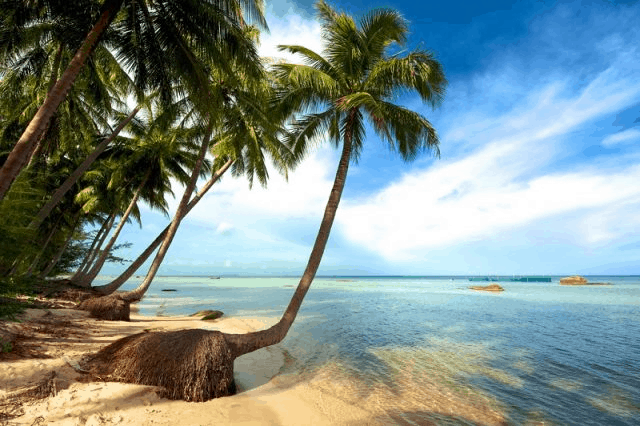 Bai Sao Phu Quoc Beach is beautiful like a miniature Maldives of Vietnam (collectibles)