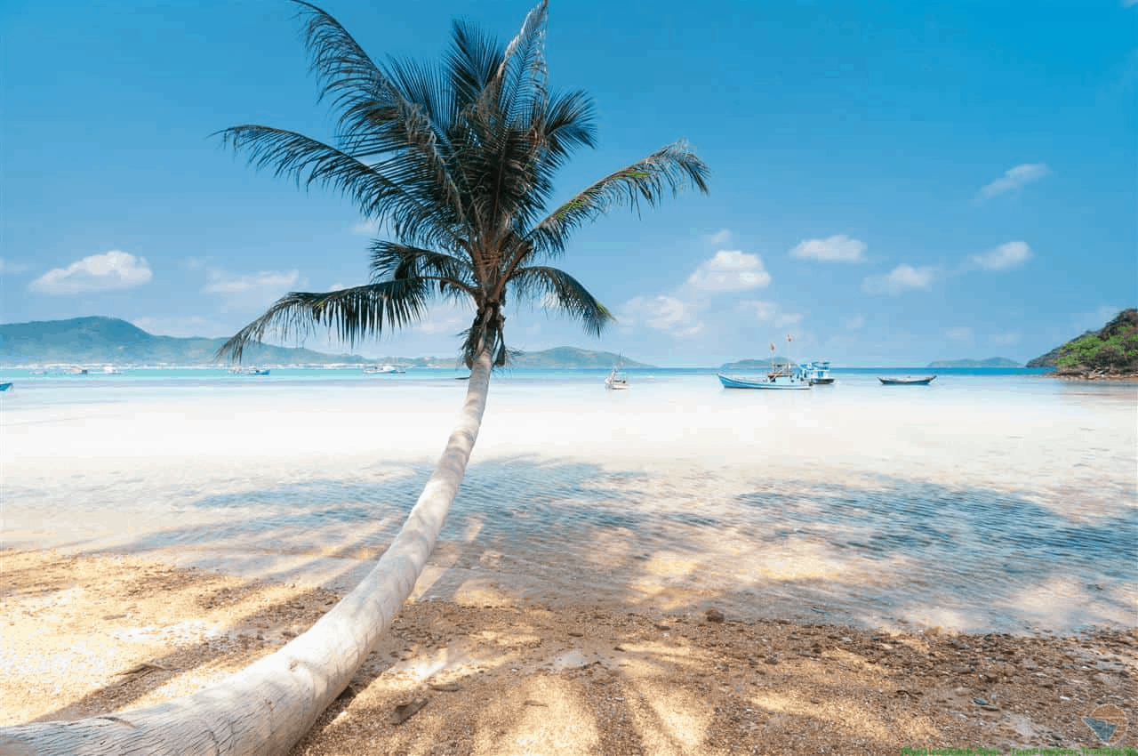 Bãi Sao - Bãi Biển tuyệt vời cho con khám phá đại dương