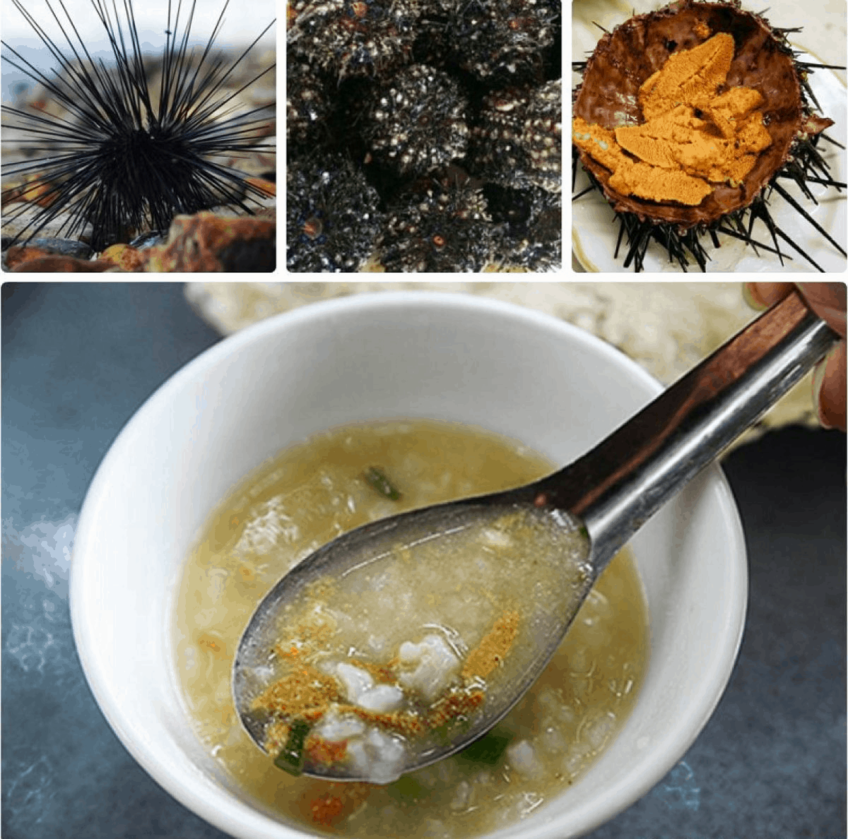 Southern Phu Quoc sea urchin porridge - a unique and strange dish (collectibles)