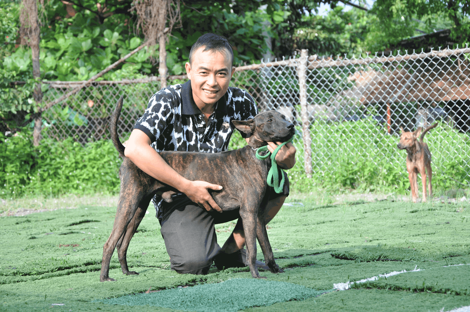 Trại chó xoáy Phú Quốc - nơi vui chơi cho trẻ em cực kỳ lý thú